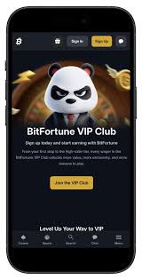 Bitfortune for Experienced Players Mastering the Cashier Experience