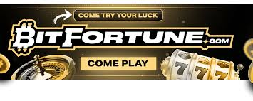 Bitfortune for Experienced Players Mastering the Cashier Experience