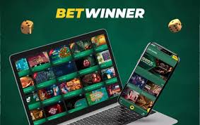 Discover the Excitement of BetWinner Casino Your Ultimate Gaming Destination